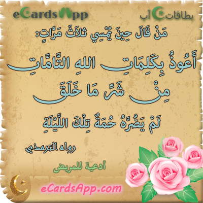 من قال حين يمسي ثلاث مرات: أعوذ بكلمات الله التامات من شر ما خلق ، لم يضره حمة تلك الليلة. رواه الترمذي